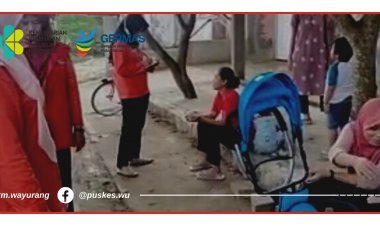 Penyuluhan dan PE DBD