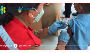 Kegiatan Posyandu Balita