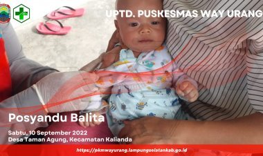 Posyandu Balita