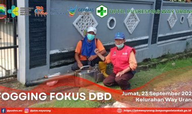 Fogging Fokus DBD