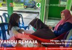 Posyandu Remaja