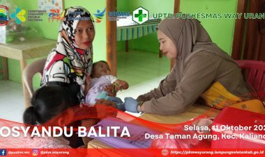 Posyandu Balita