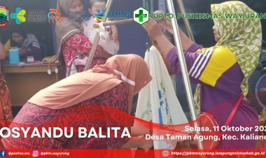 Posyandu Balita