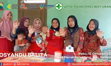 Posyandu Balita