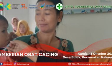 Pemberian Obat Cacing