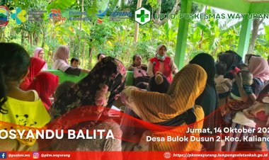 Posyandu Balita